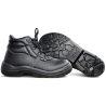 Trzewik Araukan 940  6060 S2 SRC Biochem24